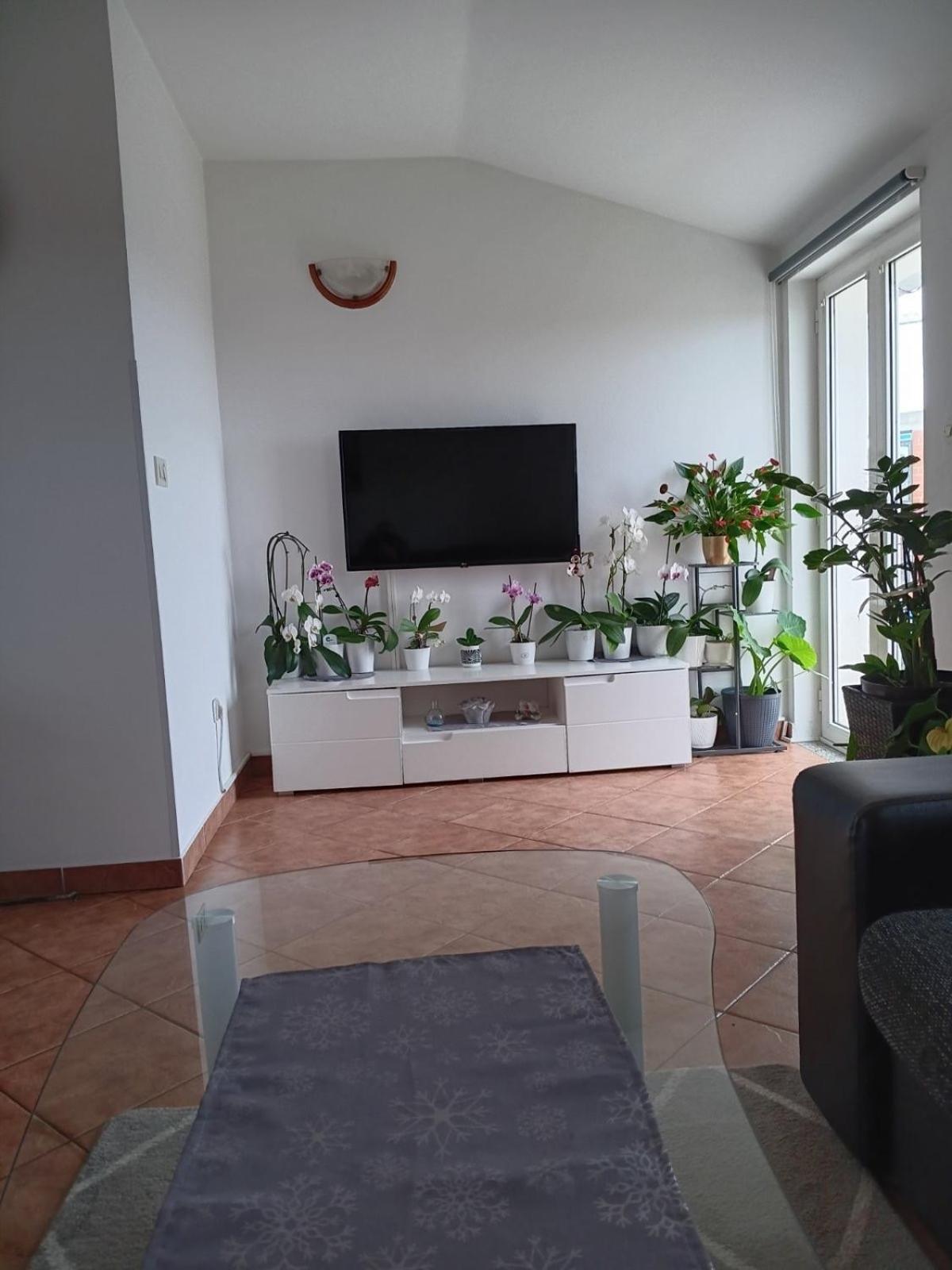 Apartman Sara Rovinj Ngoại thất bức ảnh
